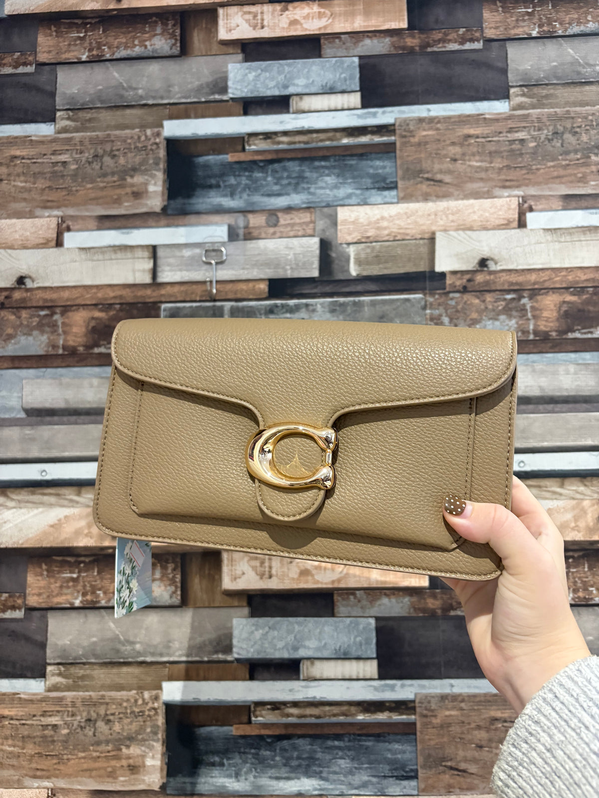 Gold clasp bag